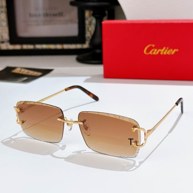 Cartier CT0243S 59 16-140 a07