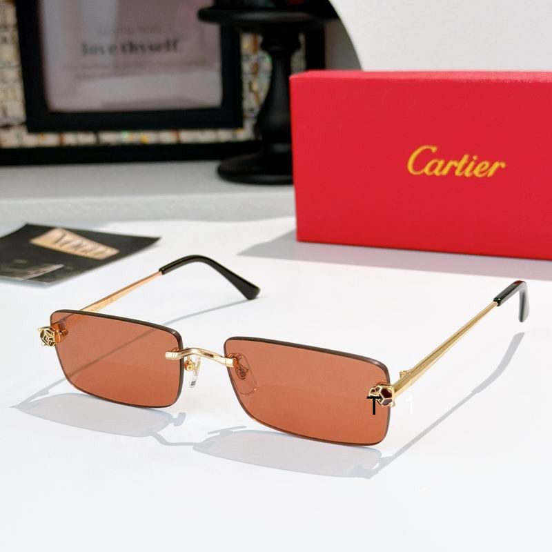 Cartier CT0598S 140 a01