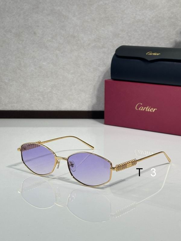 Cartier CT0740 143 c08