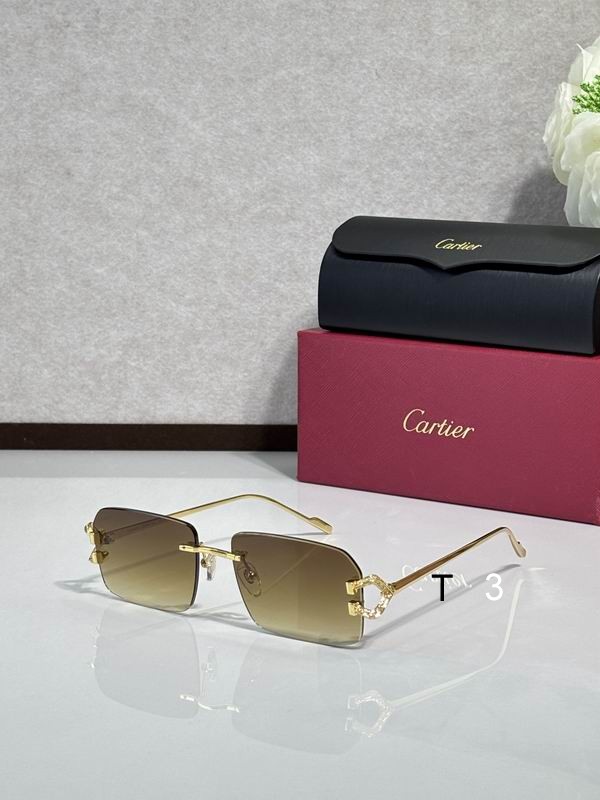 Cartier 10017 c06