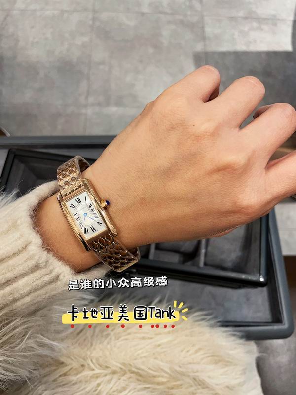 Cartier 20X35mm 17 (17)