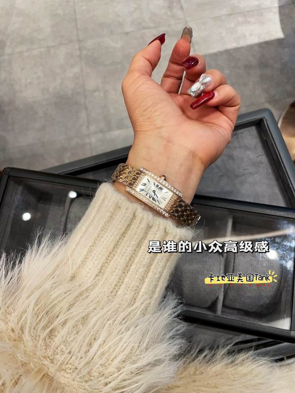 Cartier 20X35mm 17 (19)