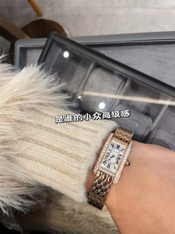 Cartier 20X35mm 17 (21)