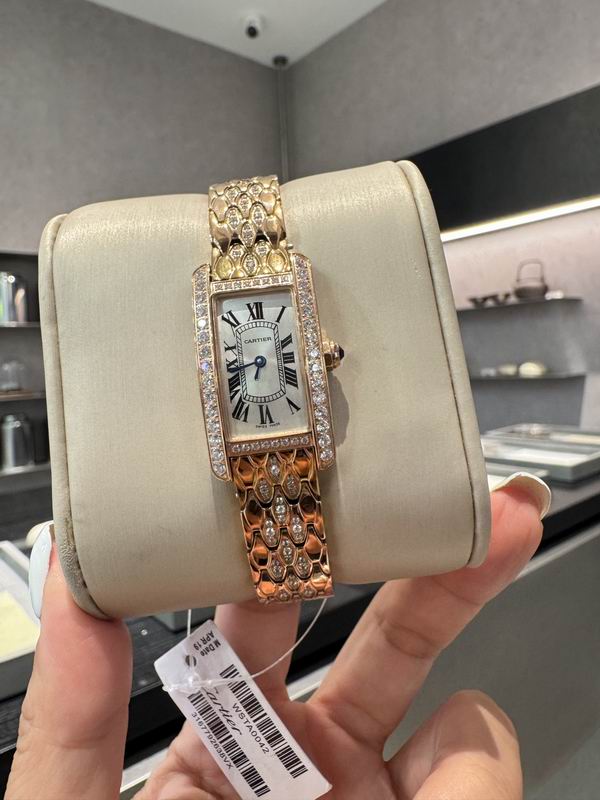 Cartier 20X35mm 80 (15)