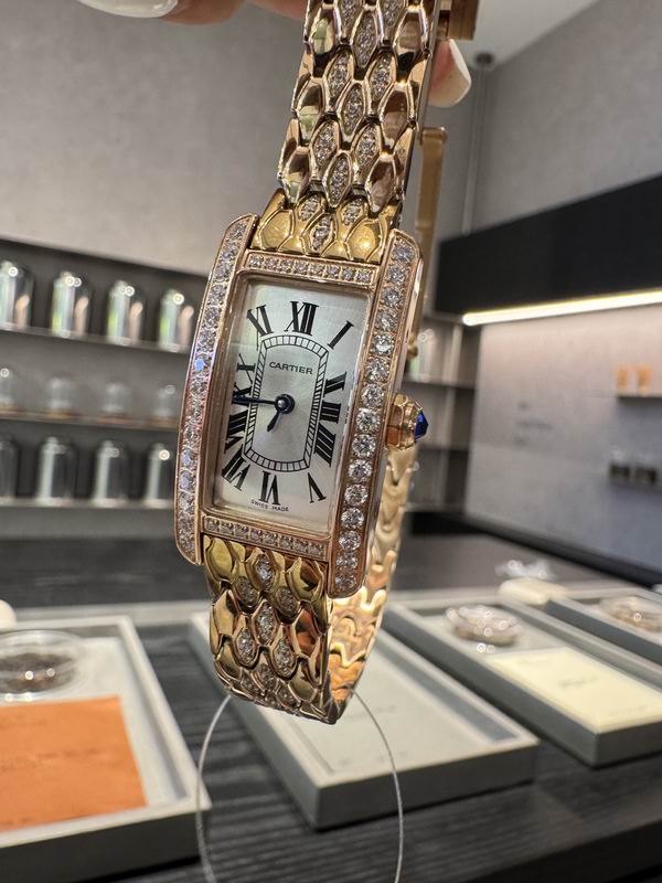 Cartier 20X35mm 80 (16)