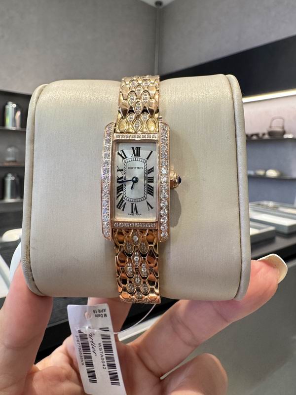 Cartier 20X35mm 80 (18)