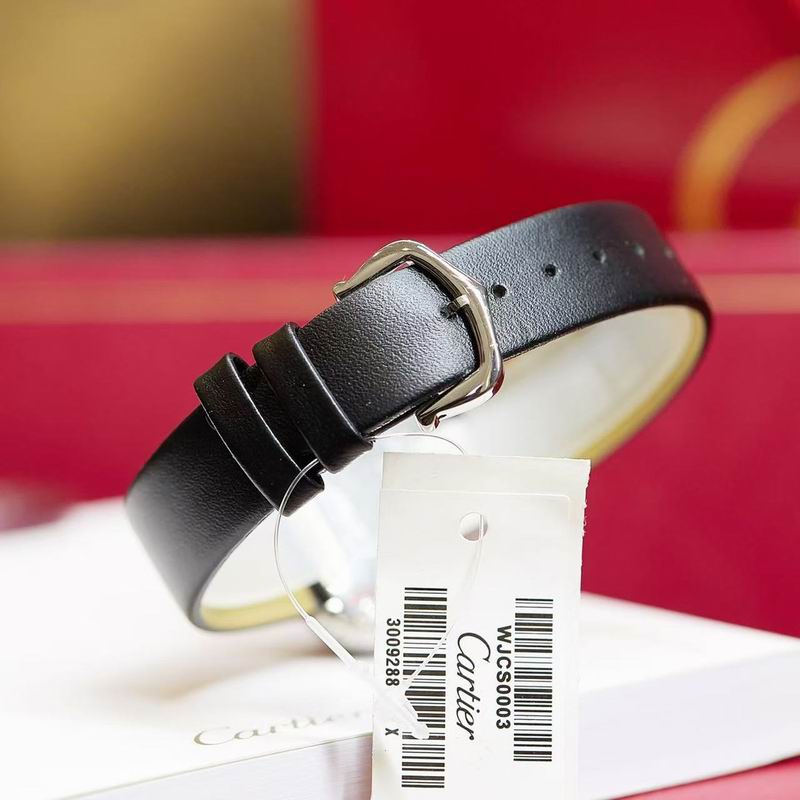 Cartier 31mm04 (10)