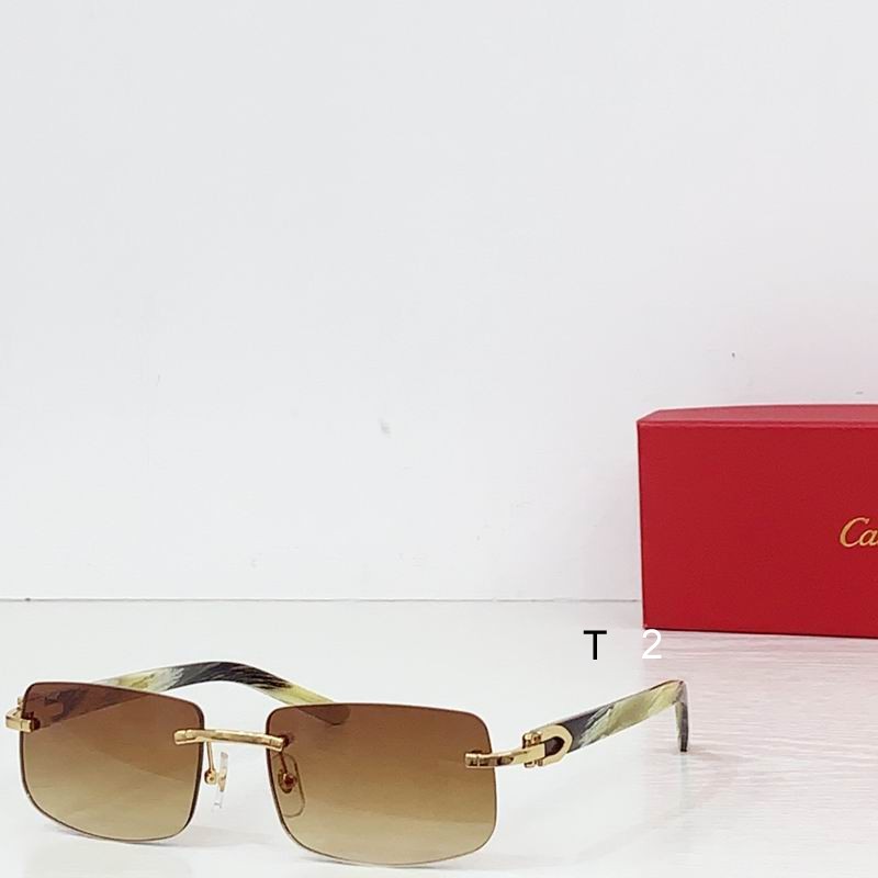 Cartier CT0046S 140 B05