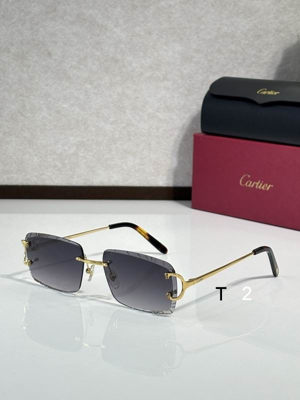 Cartier CT00920 140 C01
