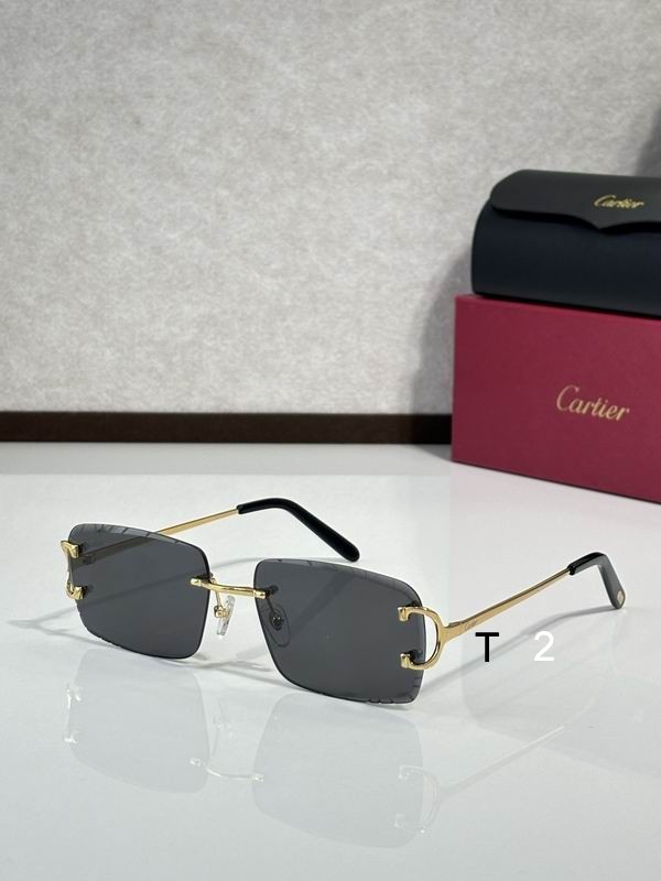 Cartier CT00920 140 C06