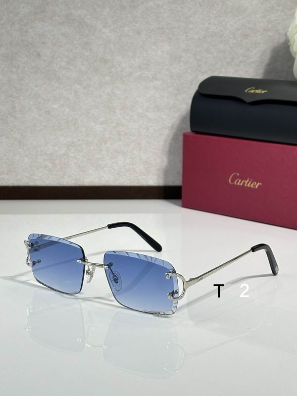 Cartier CT00920 140 C07
