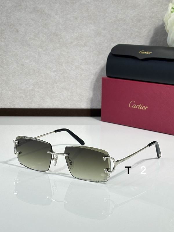 Cartier CT00920 140 C08