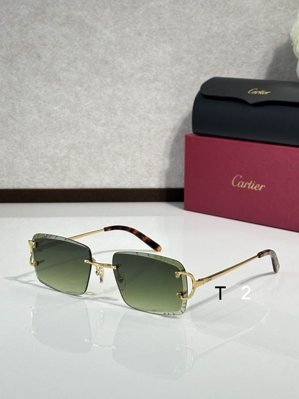 Cartier CT00920 140 C10