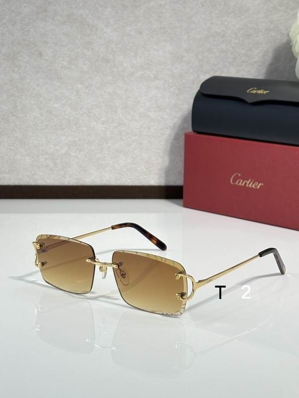 Cartier CT00920 140 C11