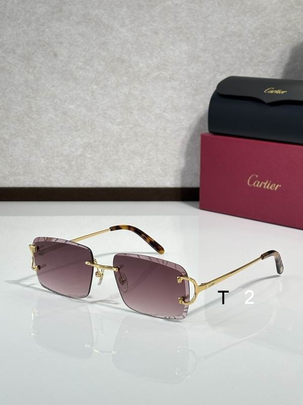 Cartier CT00920 140 C12