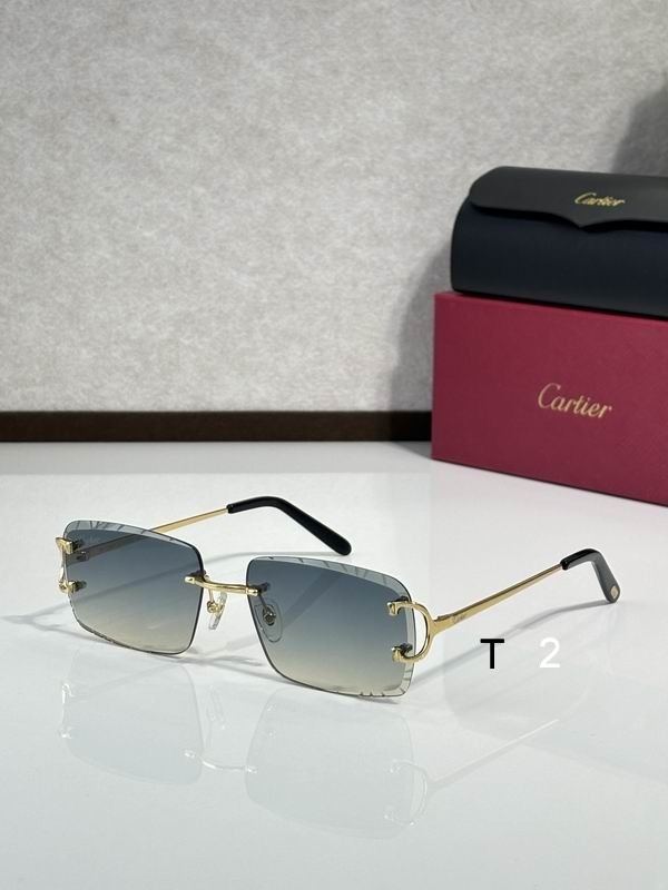Cartier CT00920 140 C13