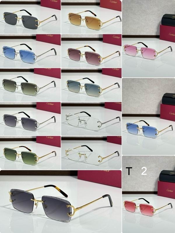 Cartier CT00920 140 C15