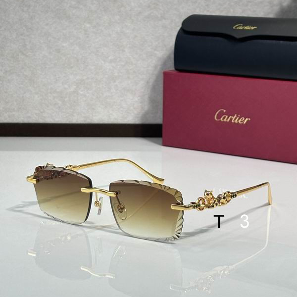 Cartier CT01821O 57 17-145 C13