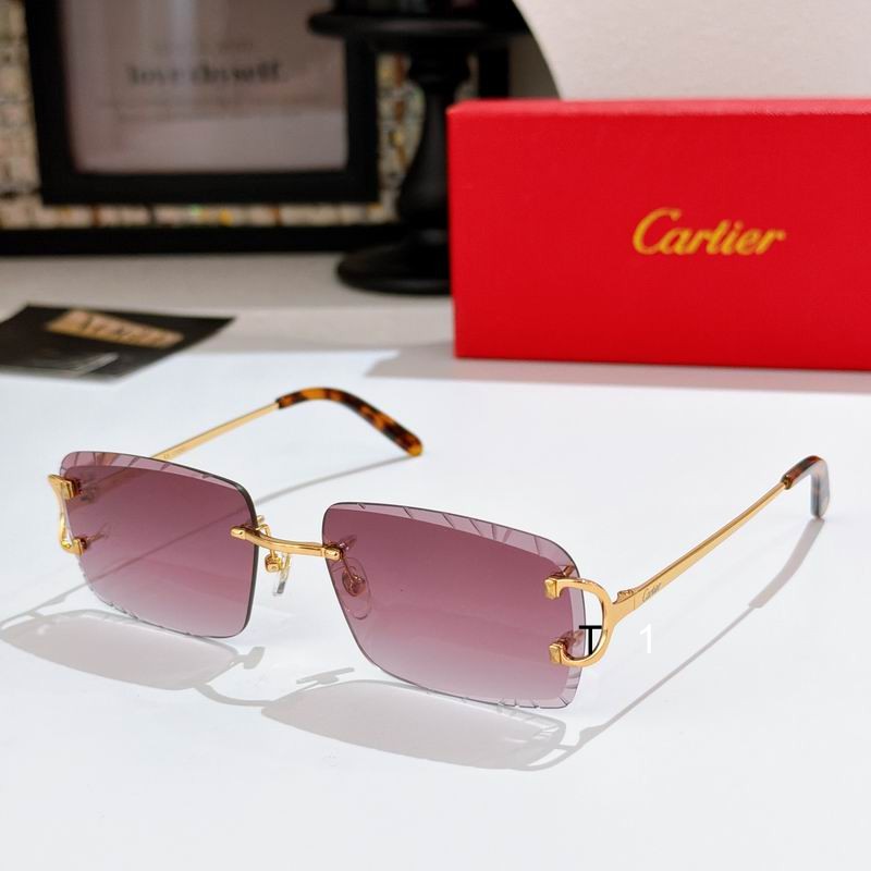Cartier CT0243S 59 16-140 a04