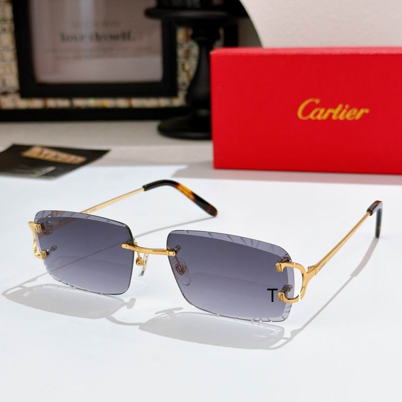 Cartier CT0243S 59 16-140 a06