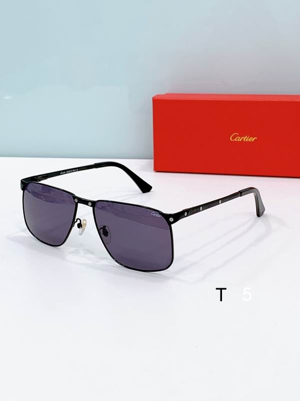 Cartier CT0322S 58 17-140 d04