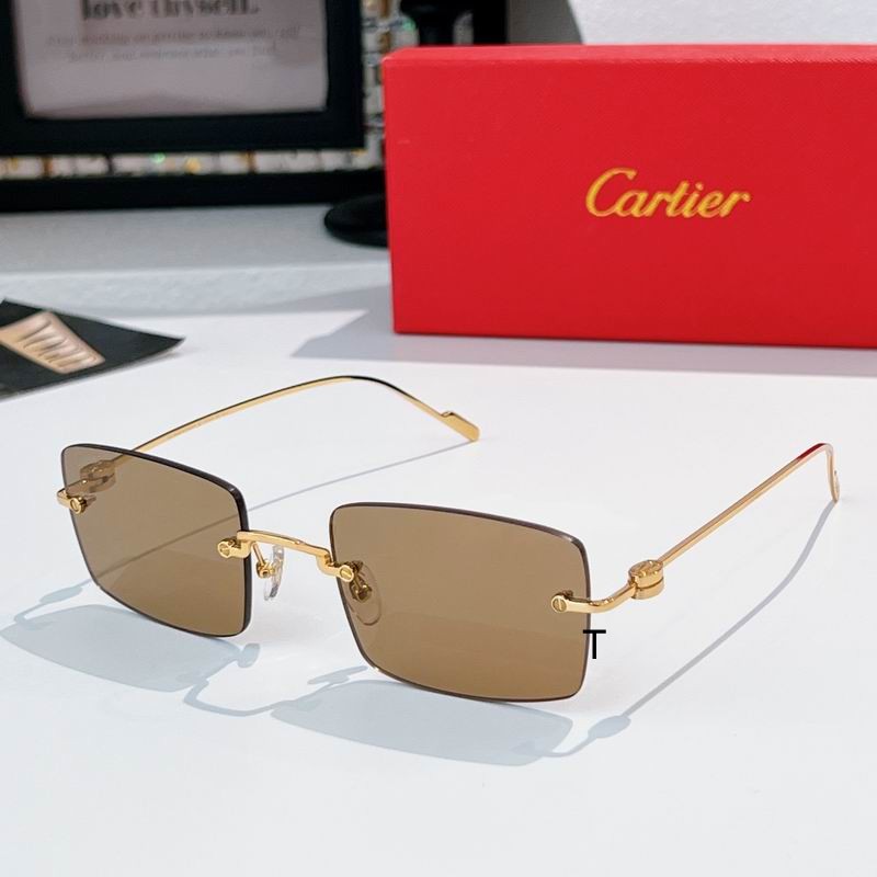 Cartier CT0367S 140 A03