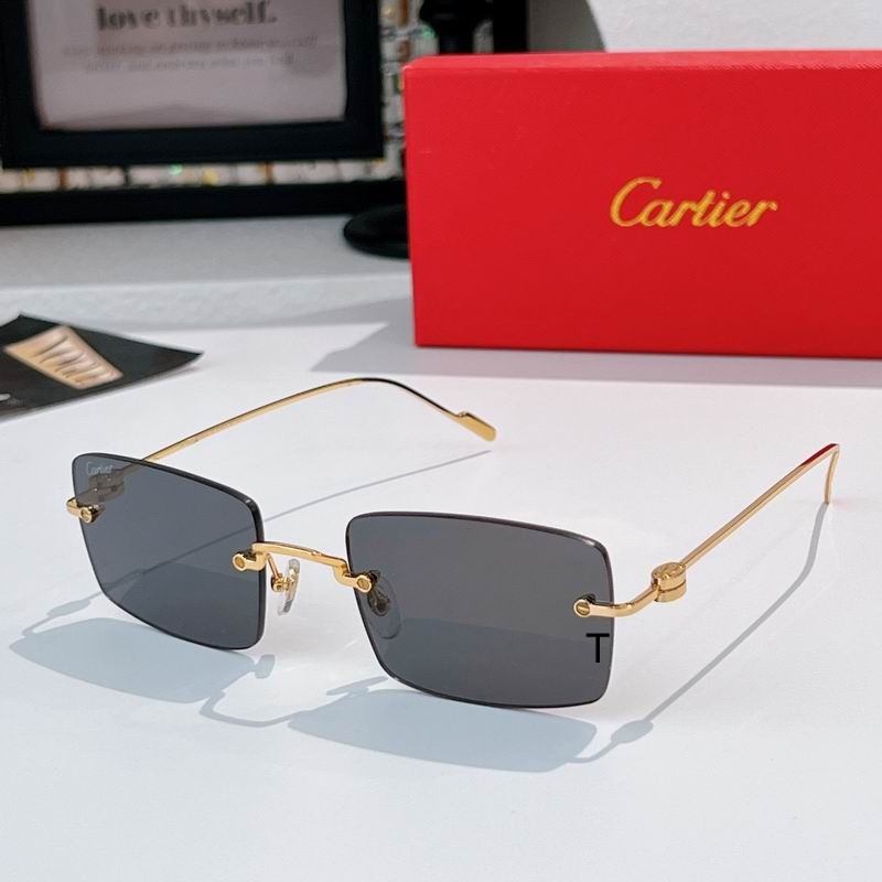 Cartier CT0367S 140 A04