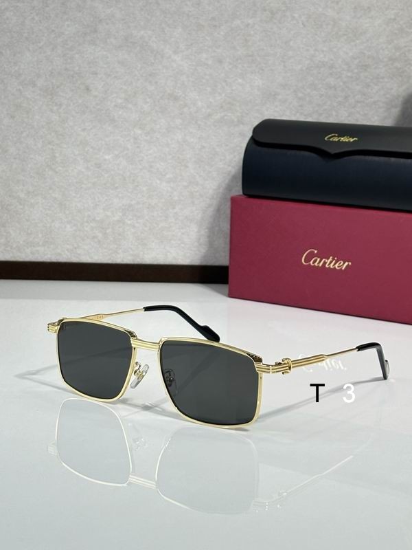 Cartier CT0534 S 145 c02