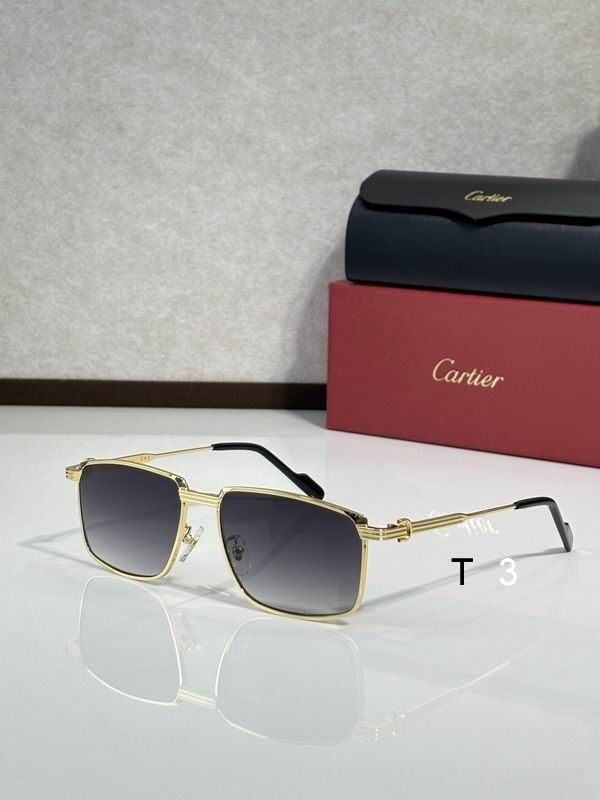 Cartier CT0534 S 145 c03