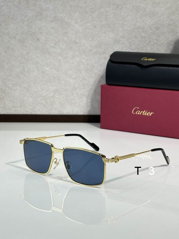 Cartier CT0534 S 145 c05