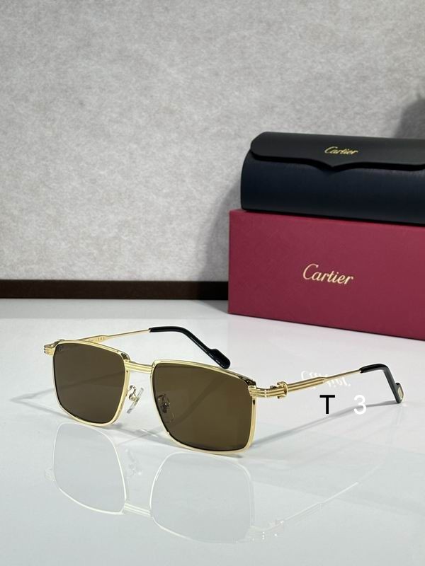 Cartier CT0534 S 145 c06