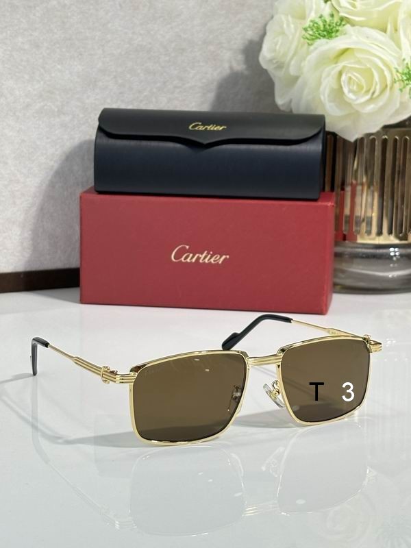 Cartier CT0534 S 145 c07