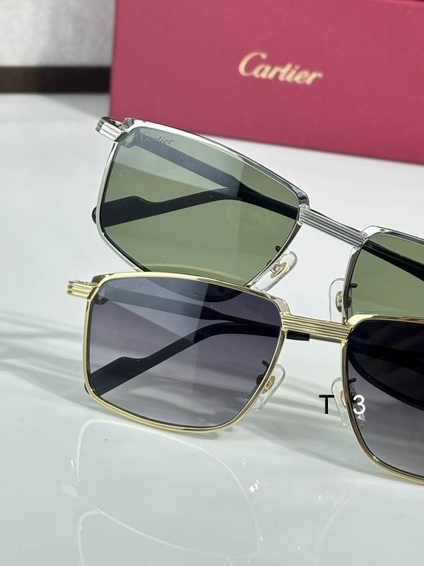 Cartier CT0534 S 145 c08