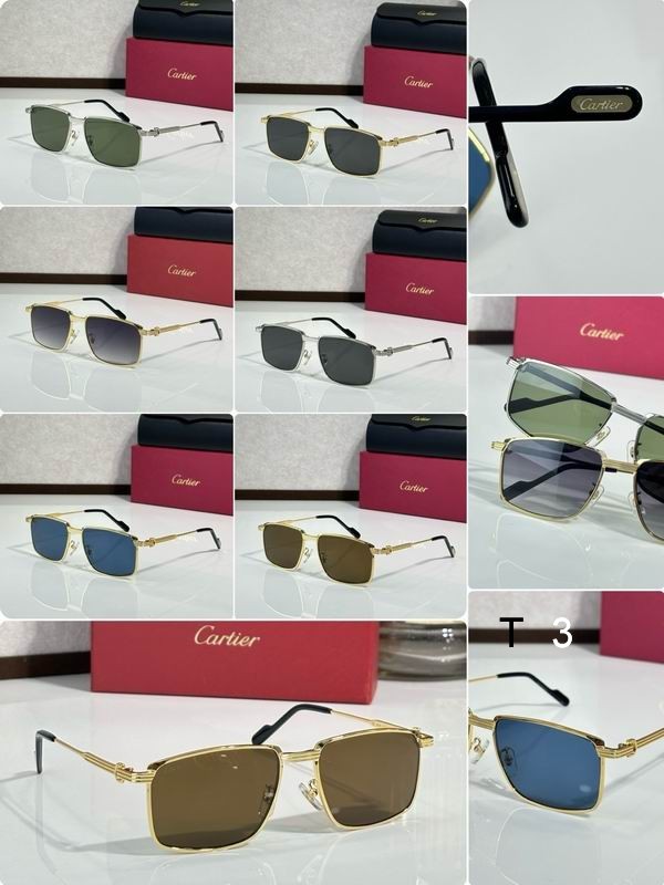 Cartier CT0534 S 145 c09