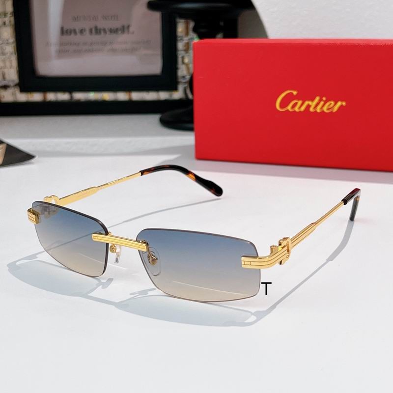 Cartier CT0535S 57 17-145 A00
