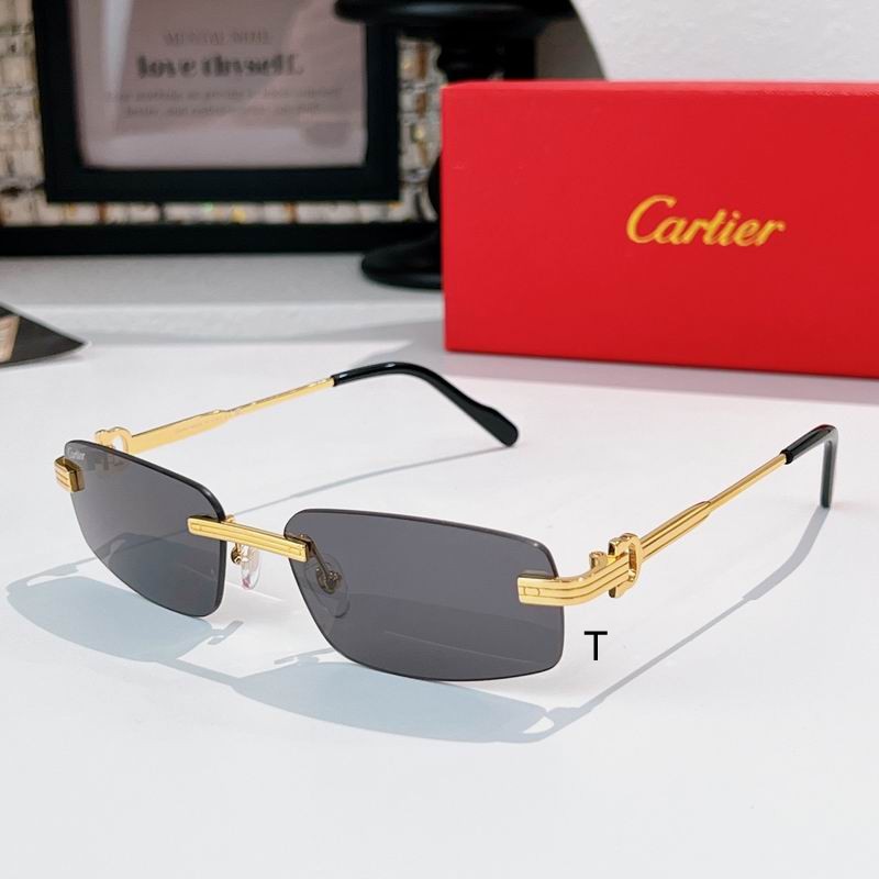 Cartier CT0535S 57 17-145 A02