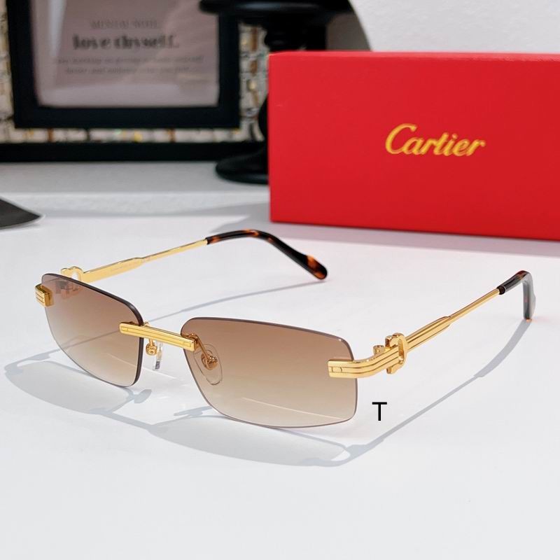 Cartier CT0535S 57 17-145 A04