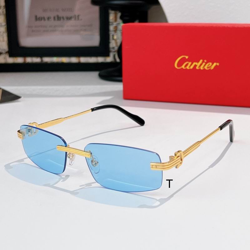 Cartier CT0535S 57 17-145 A06