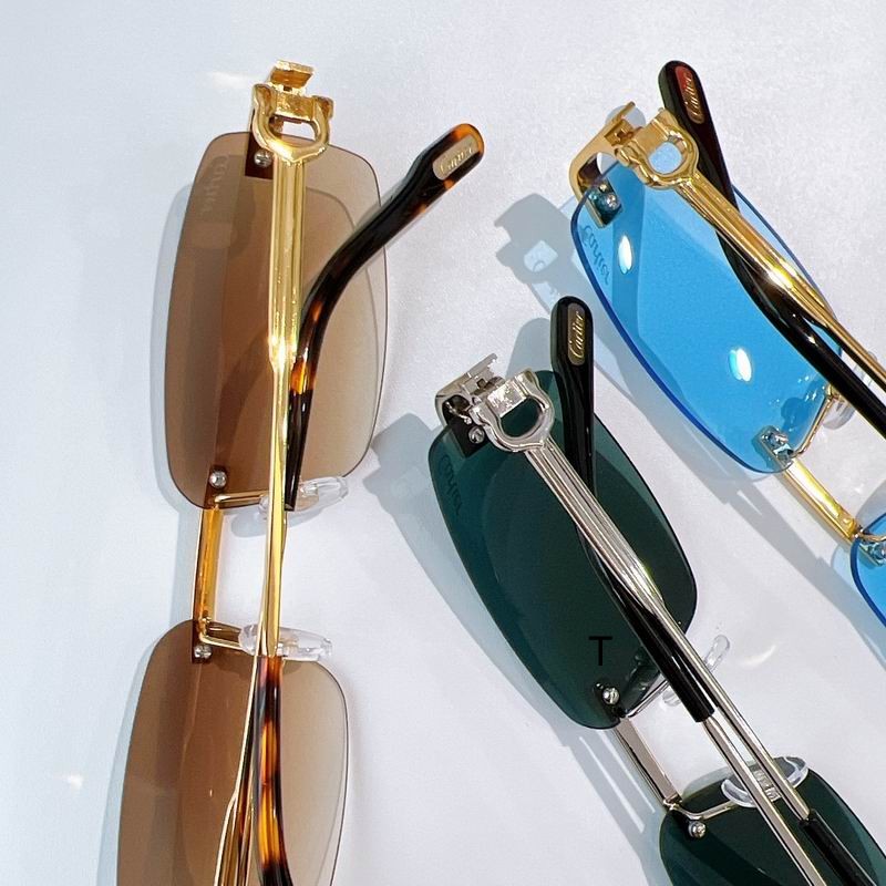 Cartier CT0535S 57 17-145 A07