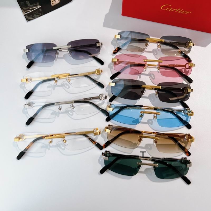 Cartier CT0535S 57 17-145 A08