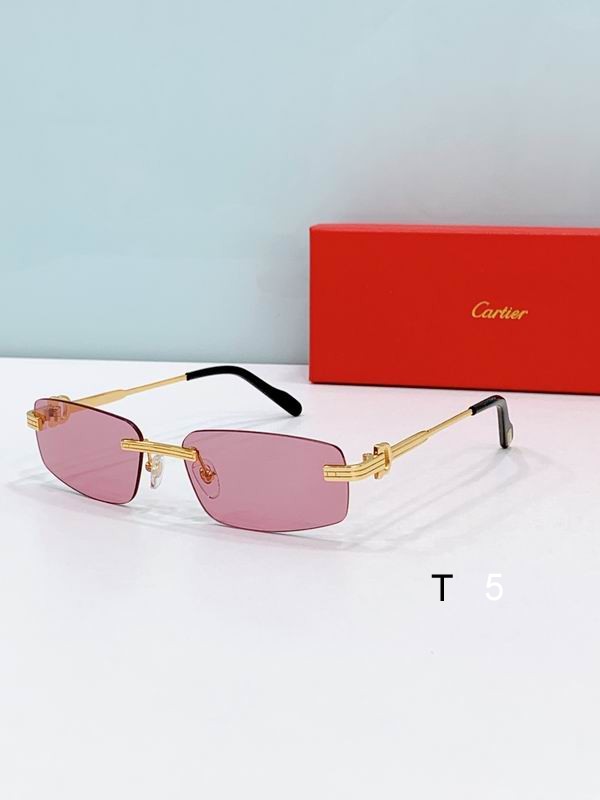 Cartier CT0535S 57 17-145 D01