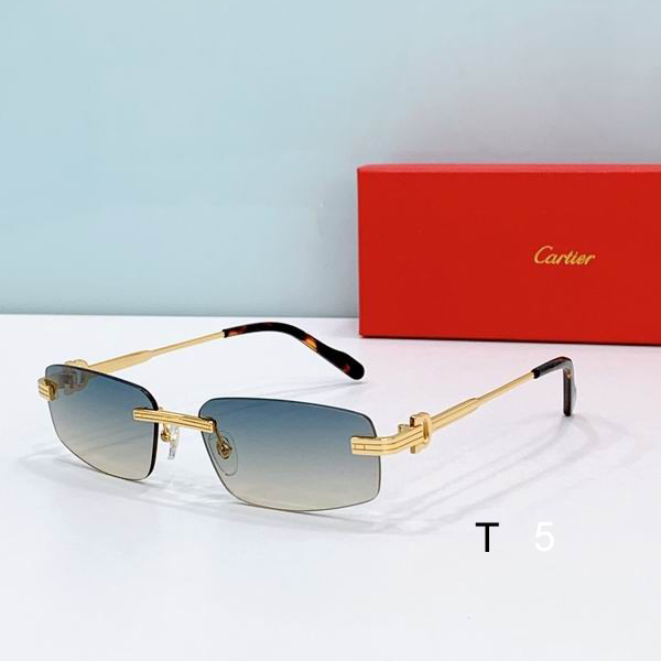 Cartier CT0535S 57 17-145 D02