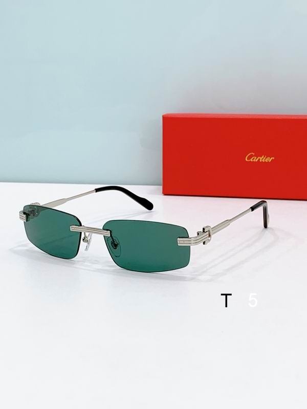 Cartier CT0535S 57 17-145 D03