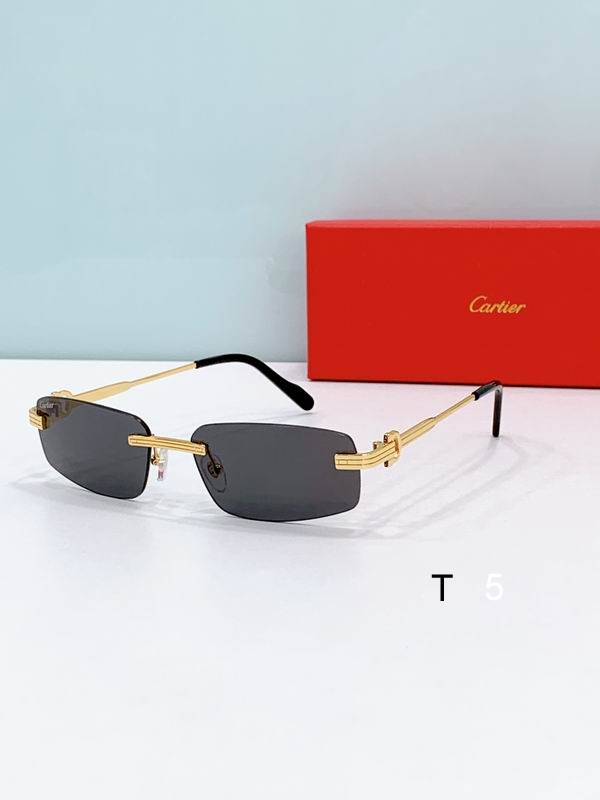 Cartier CT0535S 57 17-145 D04