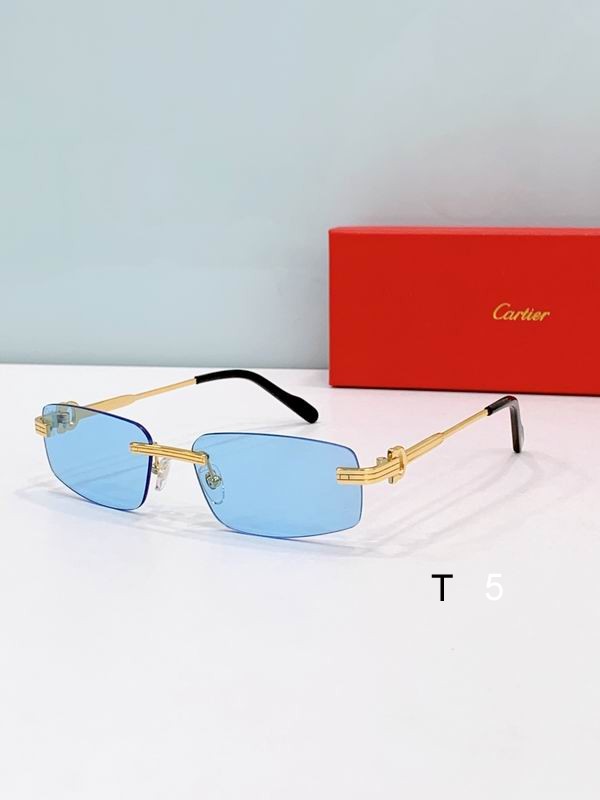 Cartier CT0535S 57 17-145 D05