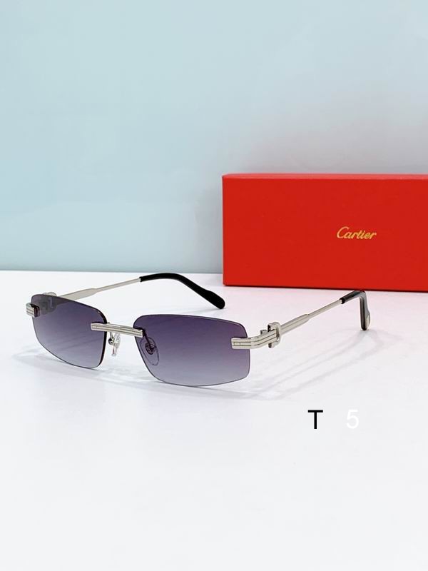 Cartier CT0535S 57 17-145 D06