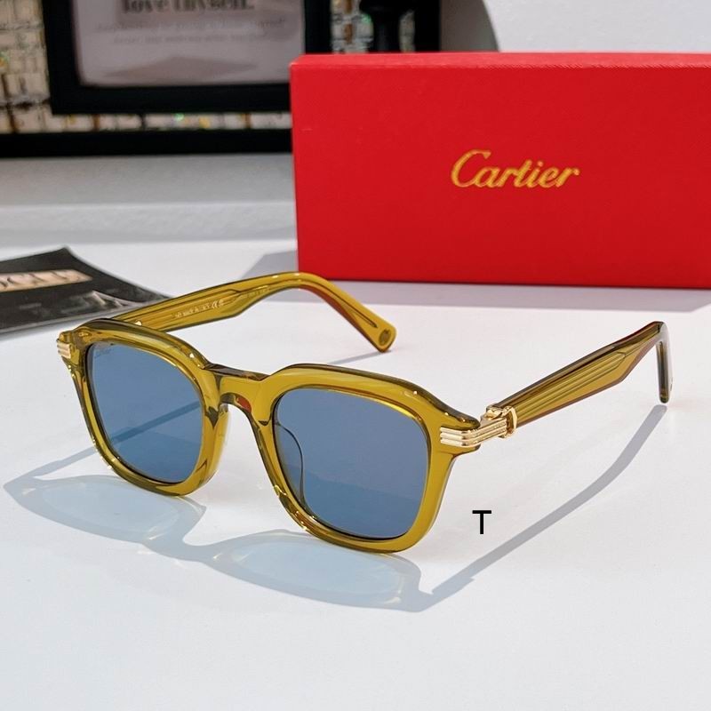 Cartier CT05363 145  A04