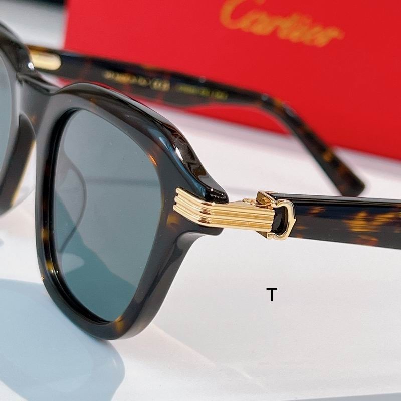 Cartier CT05363 145  A07