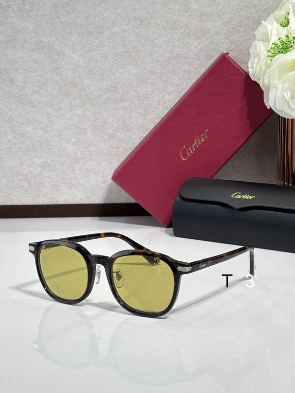Cartier CT0541SA  53 21-145c06