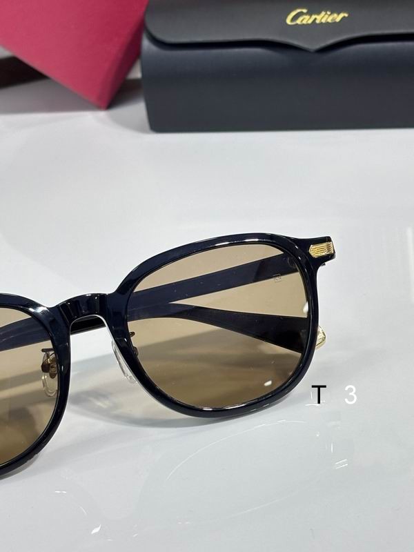 Cartier CT0541SA  53 21-145c08